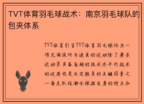 TVT体育羽毛球战术：南京羽毛球队的包夹体系